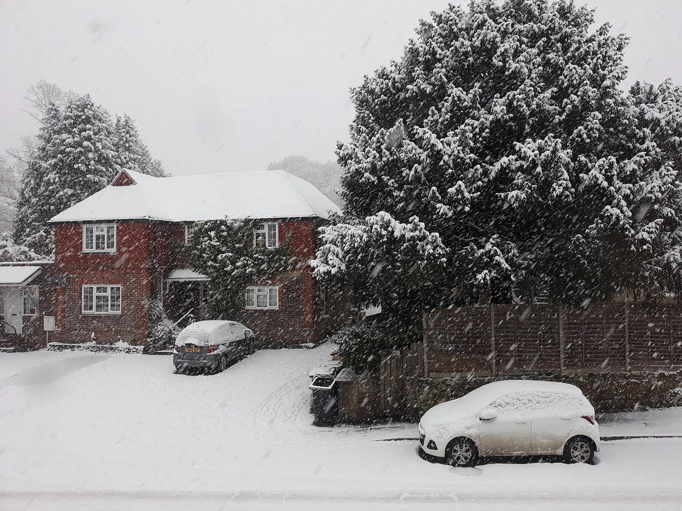 Snow-covered parked cars and houses on Liphook Road in Shottermill.